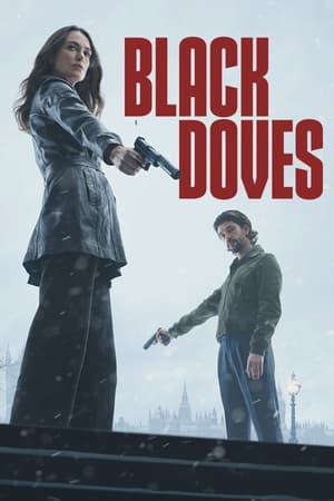 Regarder Black Doves en Streaming