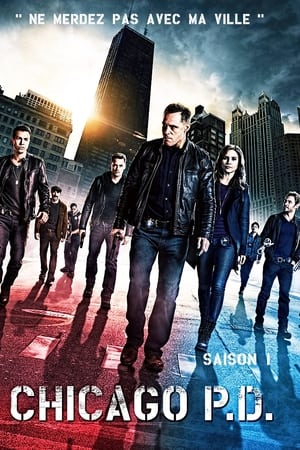 Chicago Police Department saison 1