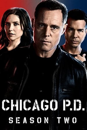 Chicago Police Department saison 2