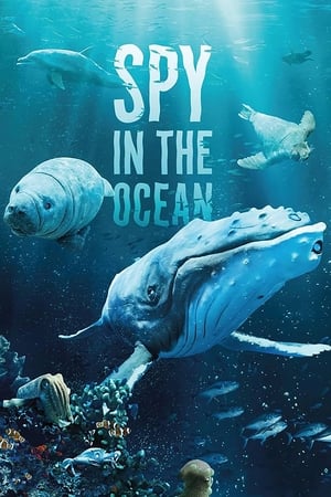 Regarder Spy in the Ocean en Streaming