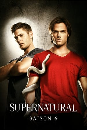 Supernatural saison 6