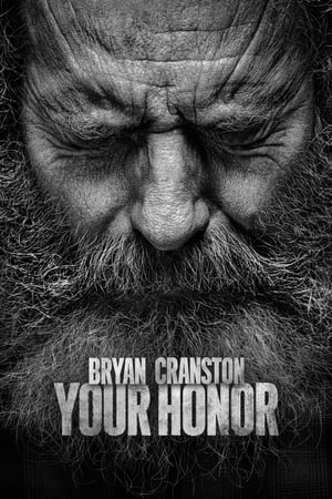 Your Honor saison 2